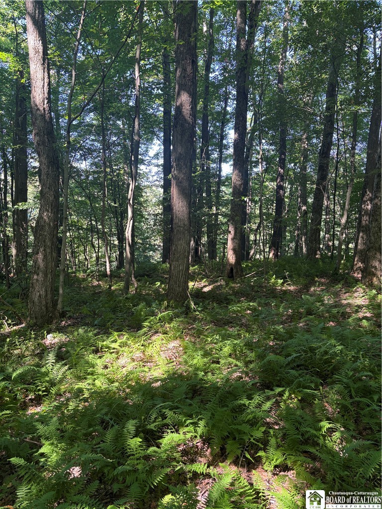 2045 Baxter Mills Road Ischua, NY 14743 - Photo 25 of 44 Gallery Image 25