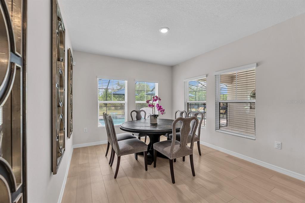 12952 Wellspring Drive Lithia, FL 33547 - Photo 10 of 46 a view of a dining room with furniture window and outside view