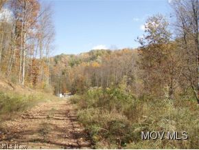 0 Brown Road Wallace, WV 26448 - Photo 4 of 6