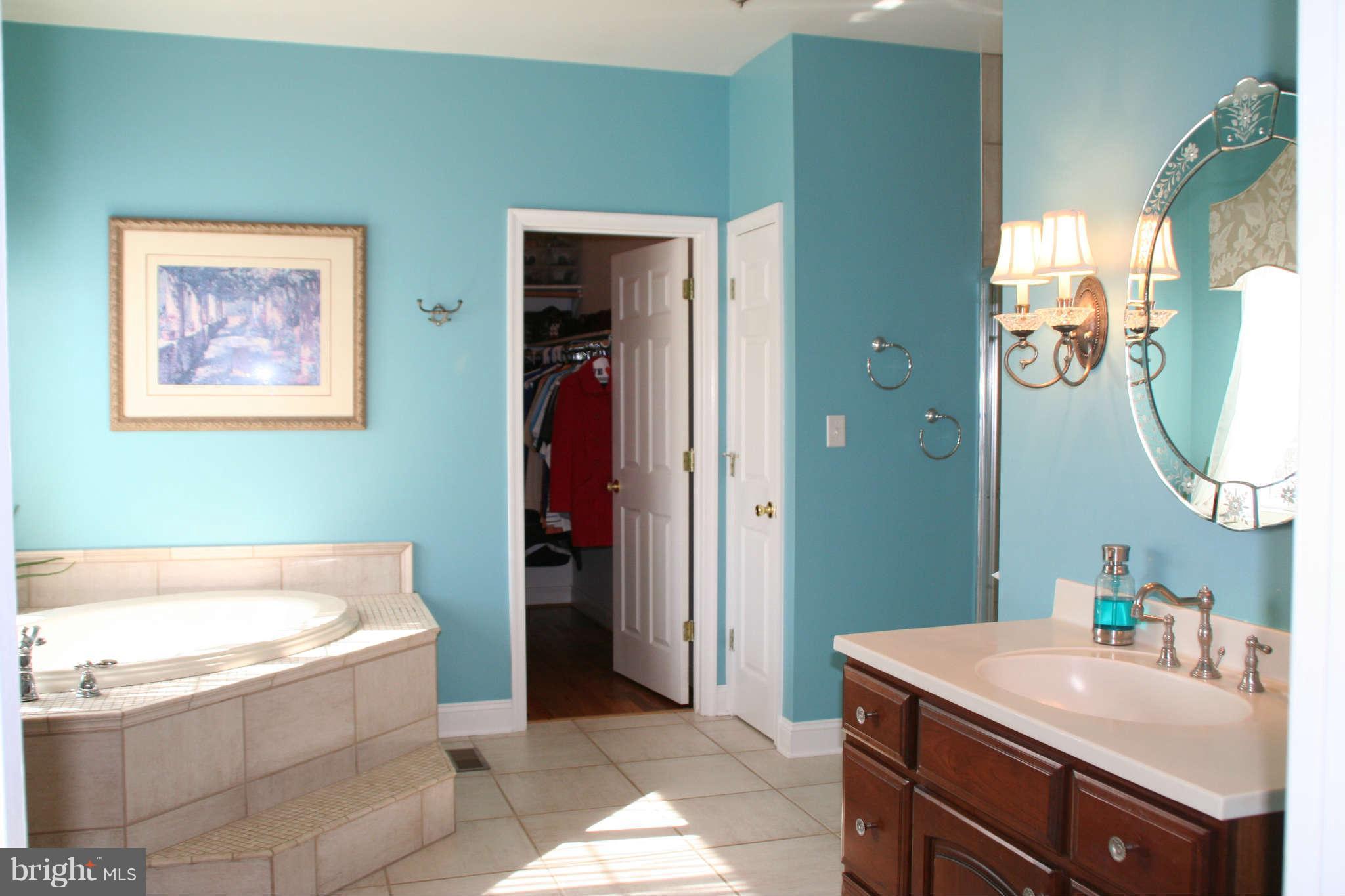 3838 Dance Mill Road Phoenix, MD 21131 - Photo 21 of 30 Bath (Master)