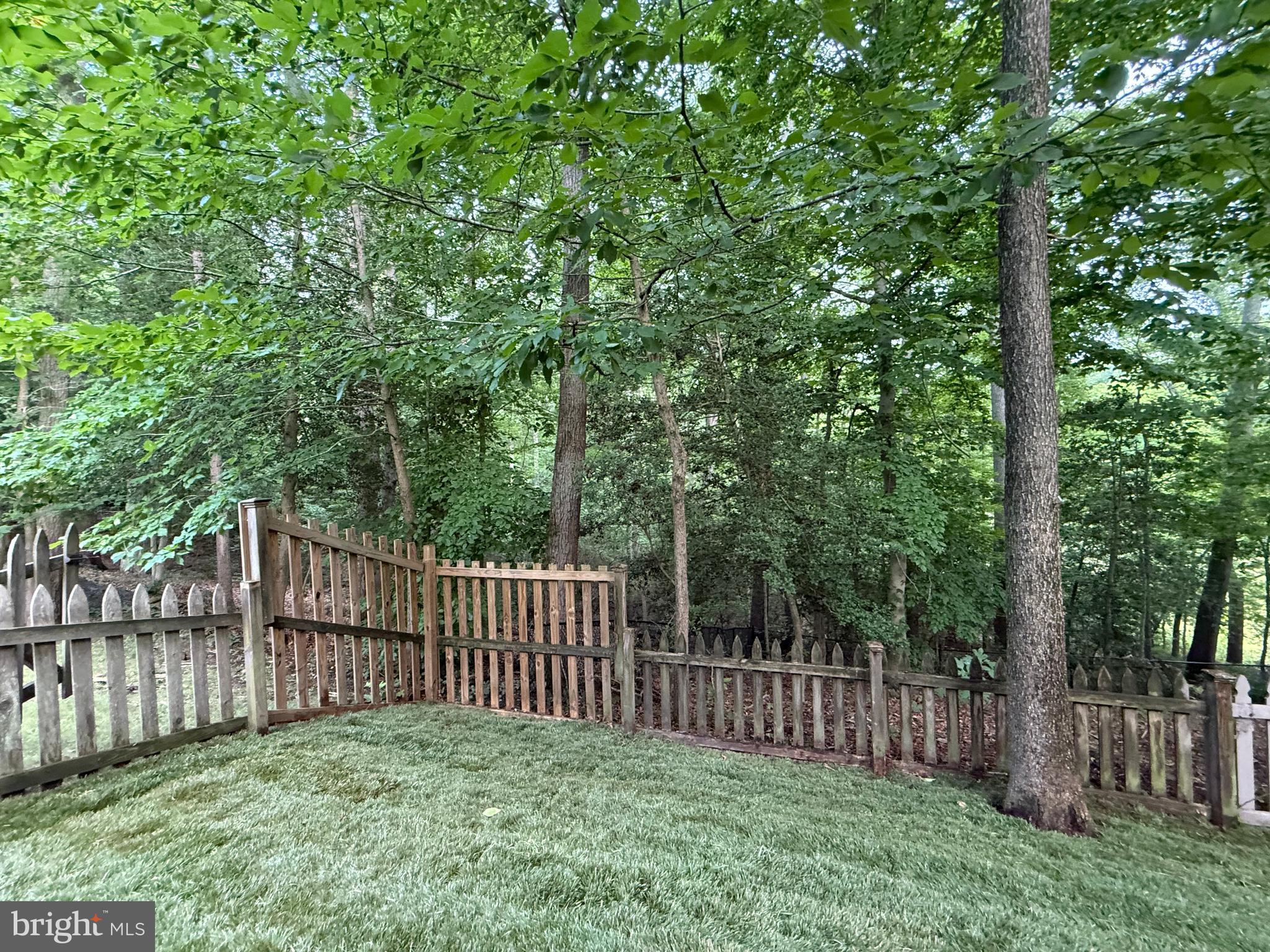 126 Gilbert Court Edgewater, MD 21037 - Photo 7 of 11 Newly Laid Sod