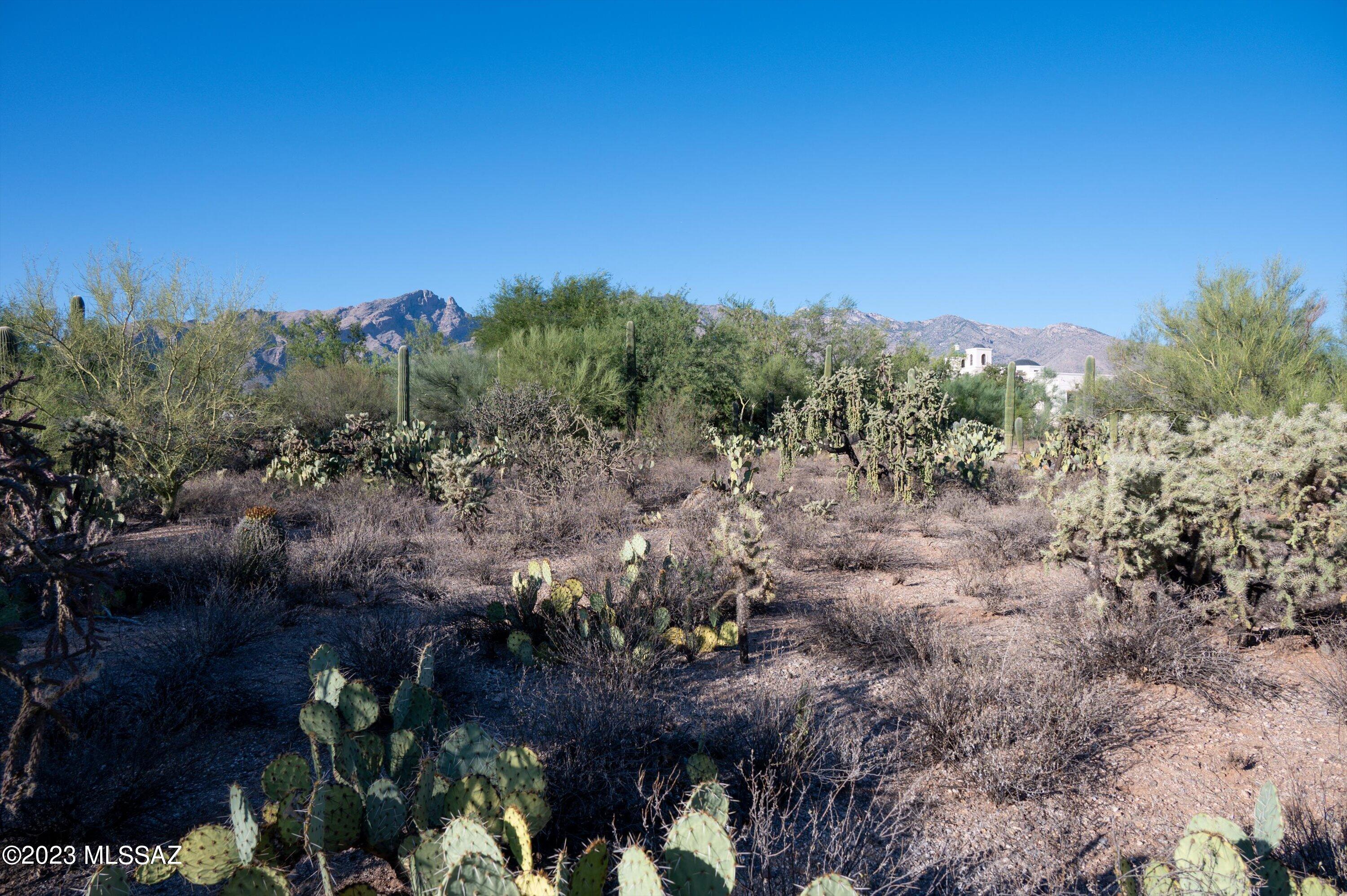 0 North Valley View Road Tucson, AZ 85718 - Photo 17 of 20