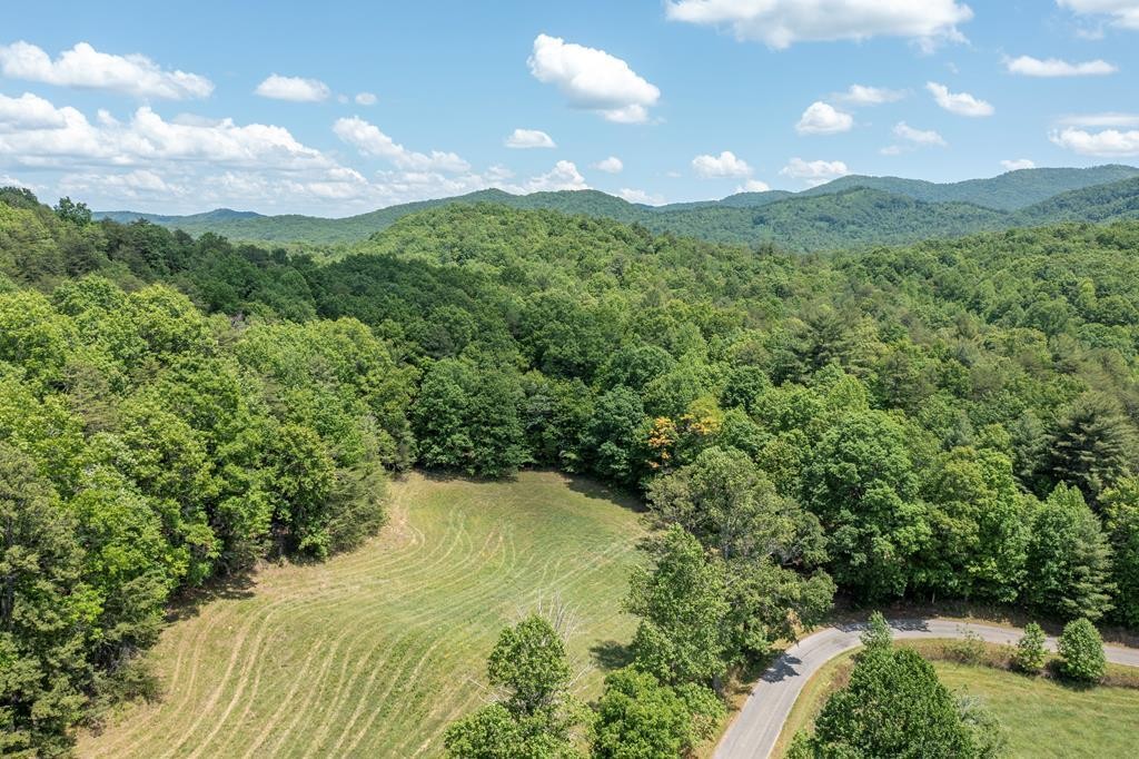 43 Donley Road Murphy, NC 28906 - Photo 14 of 14 Gallery Image 14