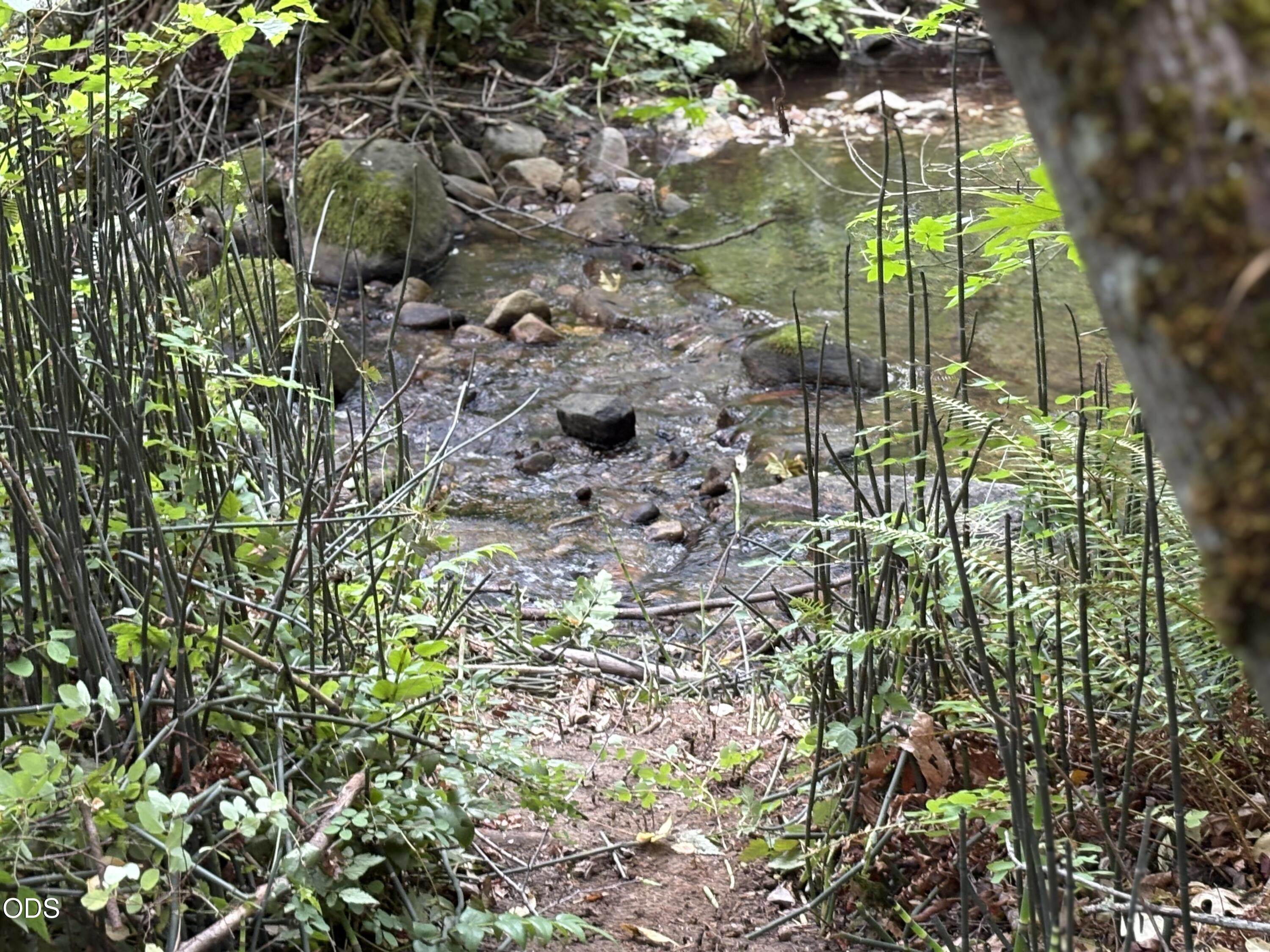 1600 Neil Creek Road Ashland, OR 97520 - Photo 9 of 9