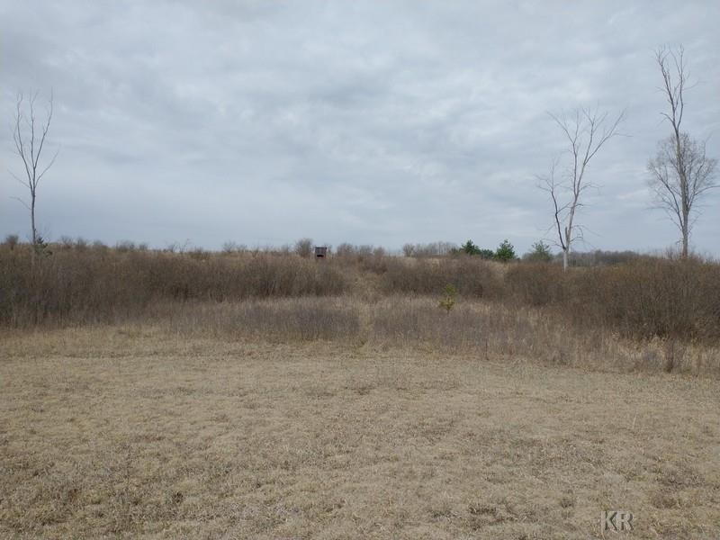 50-acres Sugar River Road Gladwin, MI 48624 - Photo 28 of 29