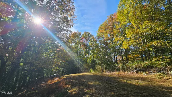 $150,000 | 133 Forrest View Lane, Coeburn, VA 24230