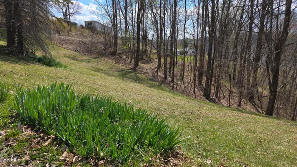 $150,000 | 133 Forrest View Lane, Coeburn, VA 24230