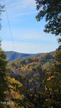 $150,000 | 133 Forrest View Lane, Coeburn, VA 24230