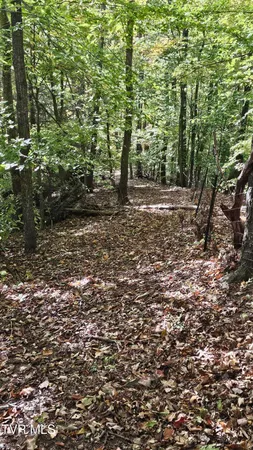 $150,000 | 133 Forrest View Lane, Coeburn, VA 24230
