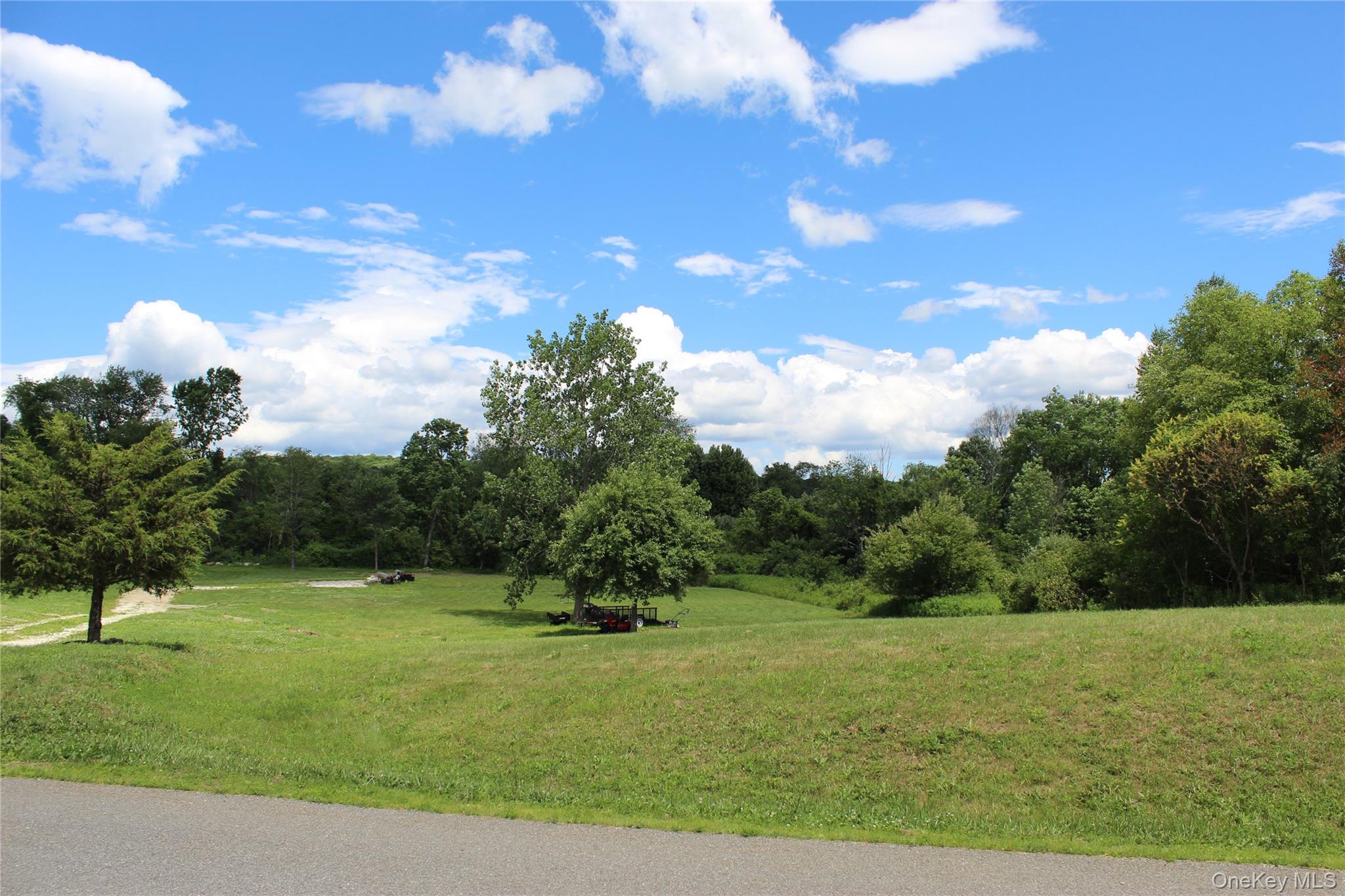 Country View Road Millerton, NY 12546 - Photo 5 of 5