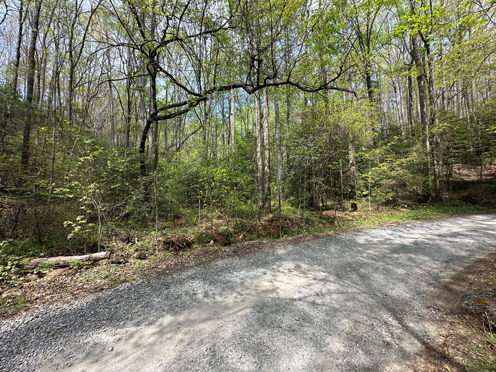 Lot 20 Big Ben Road Ellijay, GA 30540 - Photo 2 of 8 Gallery Image 2