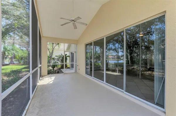 a view of a garden with large trees