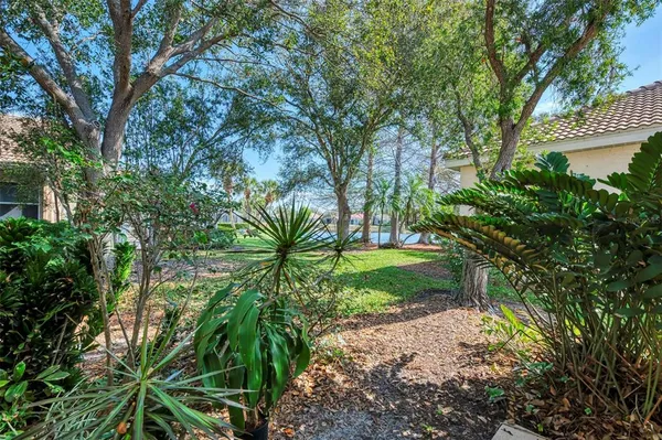 a view of a yard with a tree