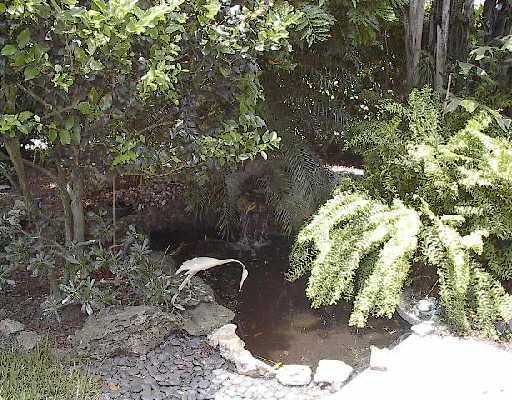 4580 Betelnut Street Boca Raton, FL 33428 - Photo 4 of 8 Additional Photo