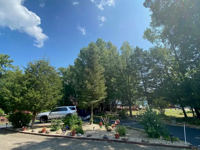 a house with trees in front of it