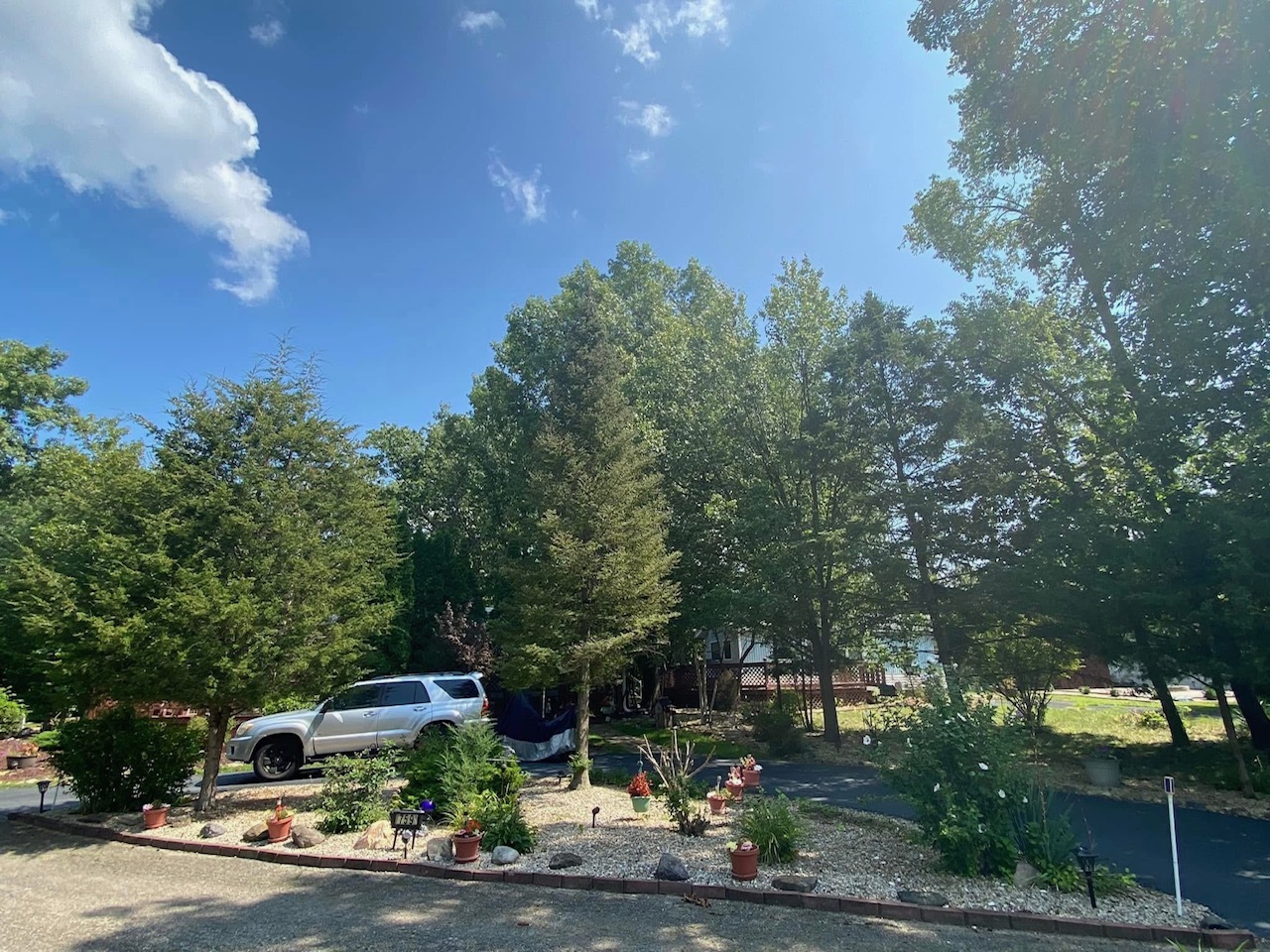 a house with trees in front of it