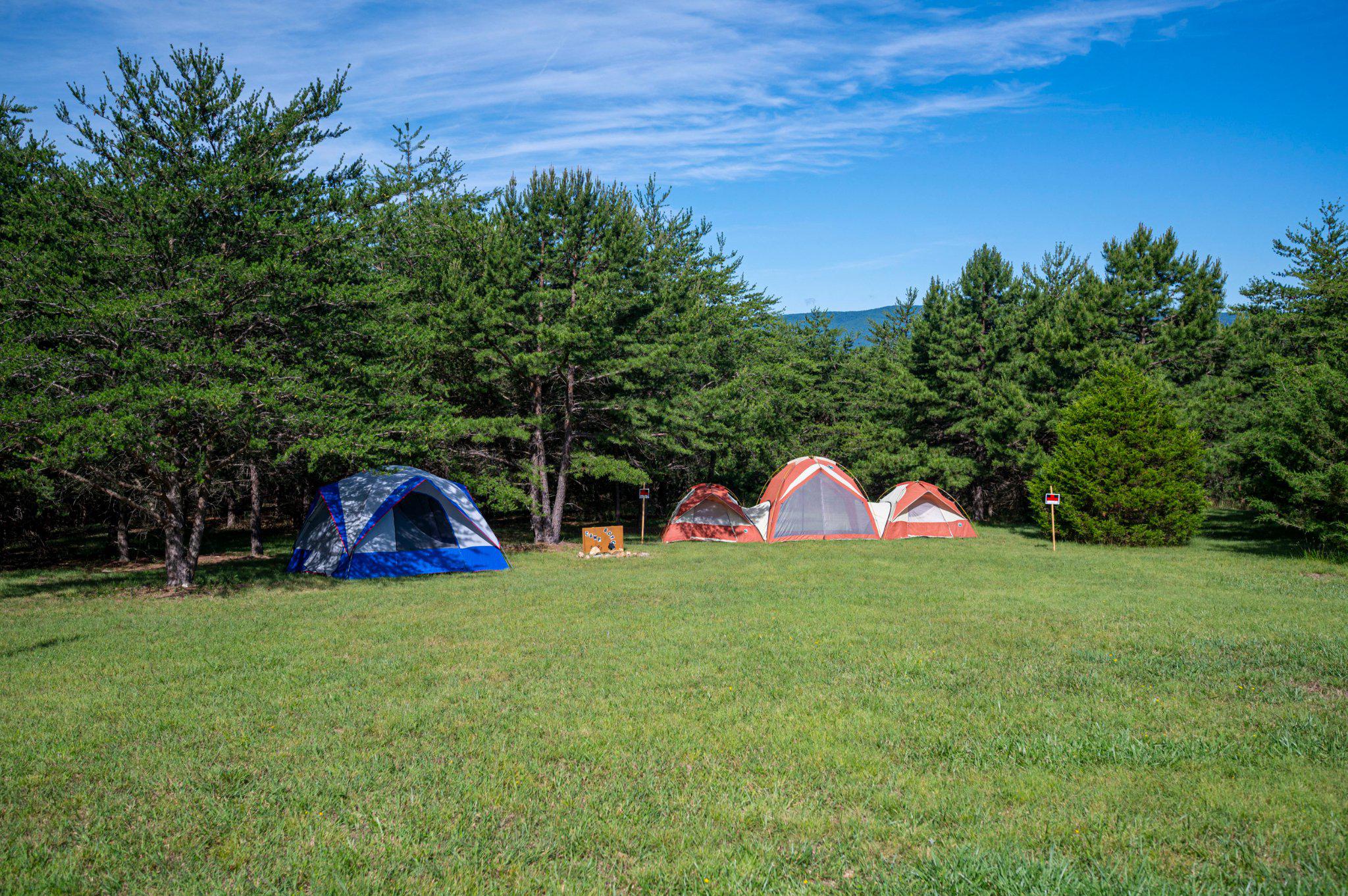 2199 Cheyennes Trail Gerrardstown, WV 25420 - Photo 49 of 63 Space for a personal campground