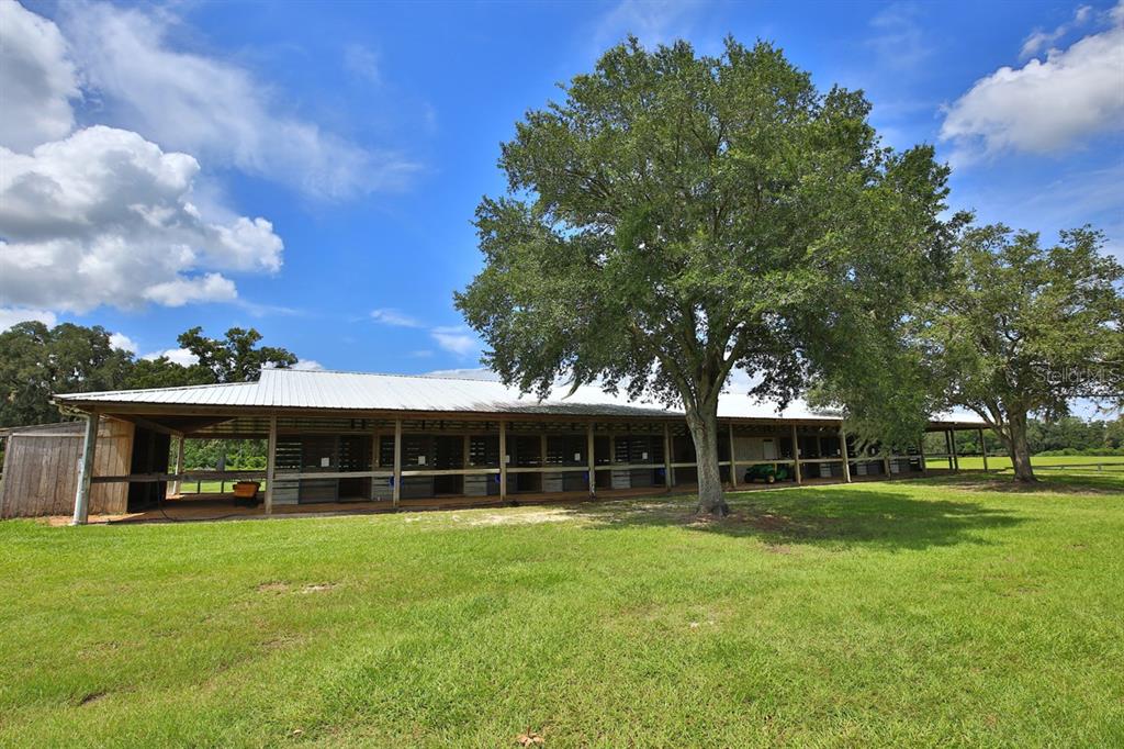12219 Southwest 26th Street Ocala, FL 34481 - Photo 38 of 63 a front view of a house with a yard