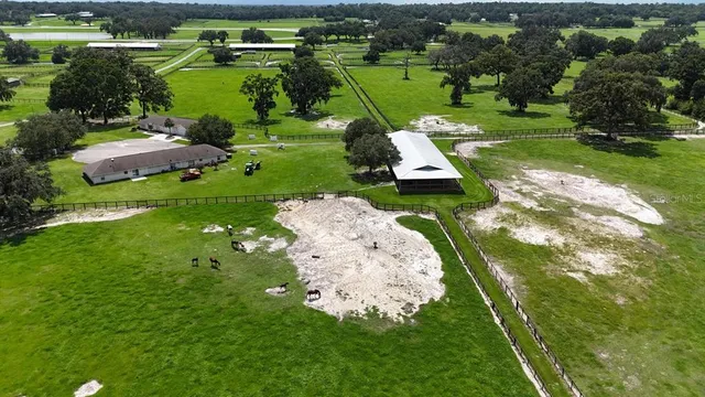 a view of a yard with plants