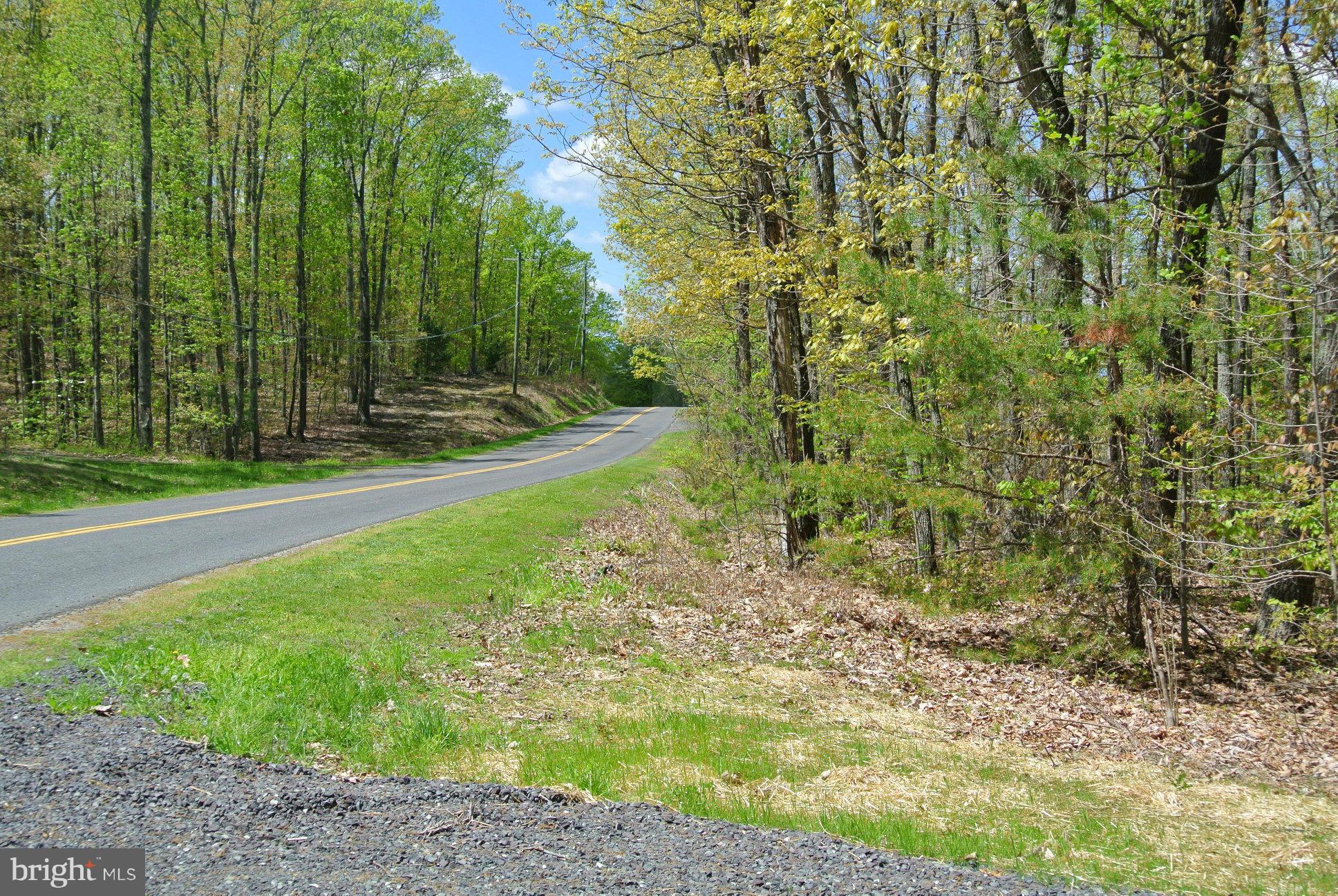 7 Alum Springs Road Rixeyville, VA 22737 - Photo 1 of 12 Driveway on Drogheda Mtn Rd