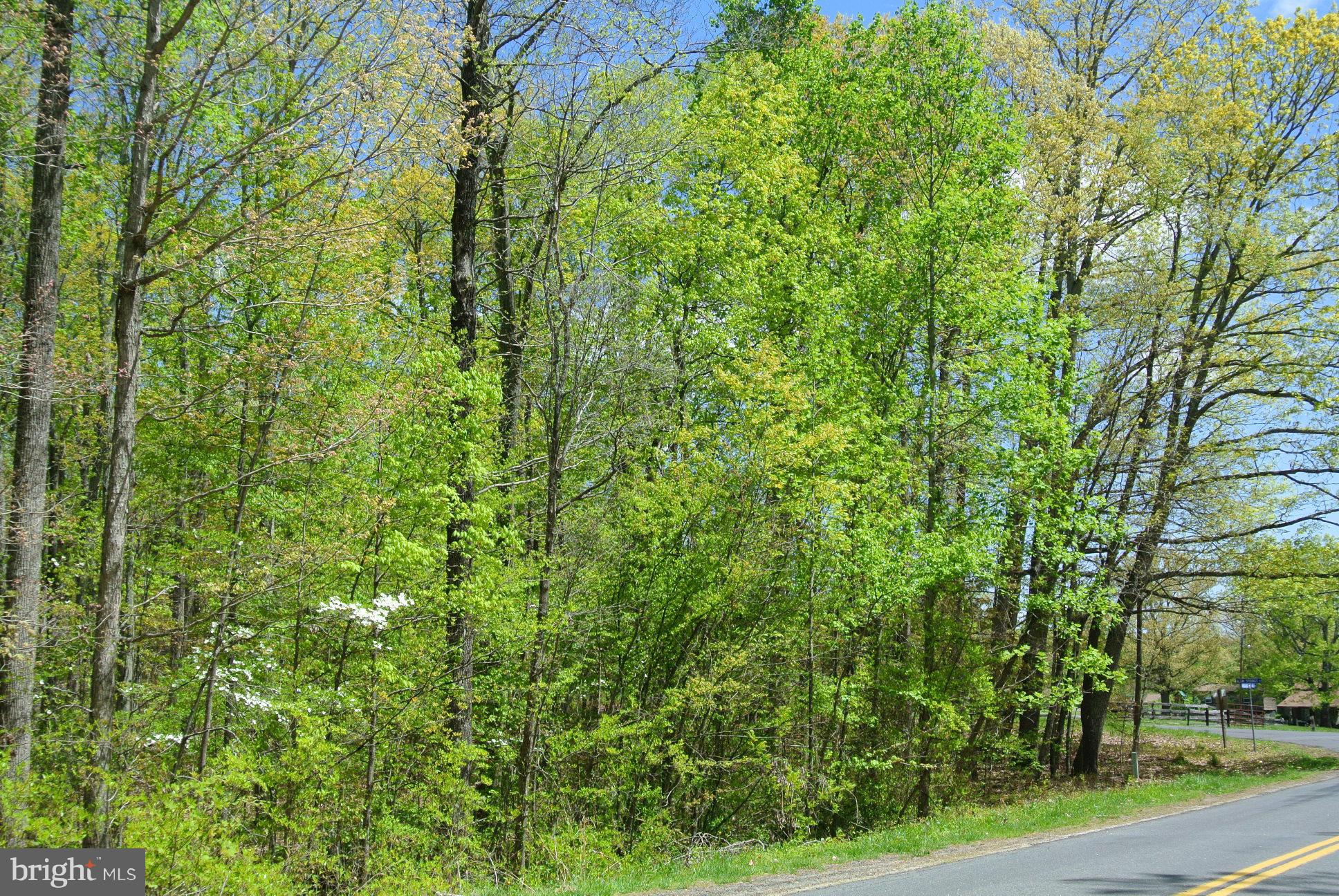 7 Alum Springs Road Rixeyville, VA 22737 - Photo 2 of 12 Exterior (General)