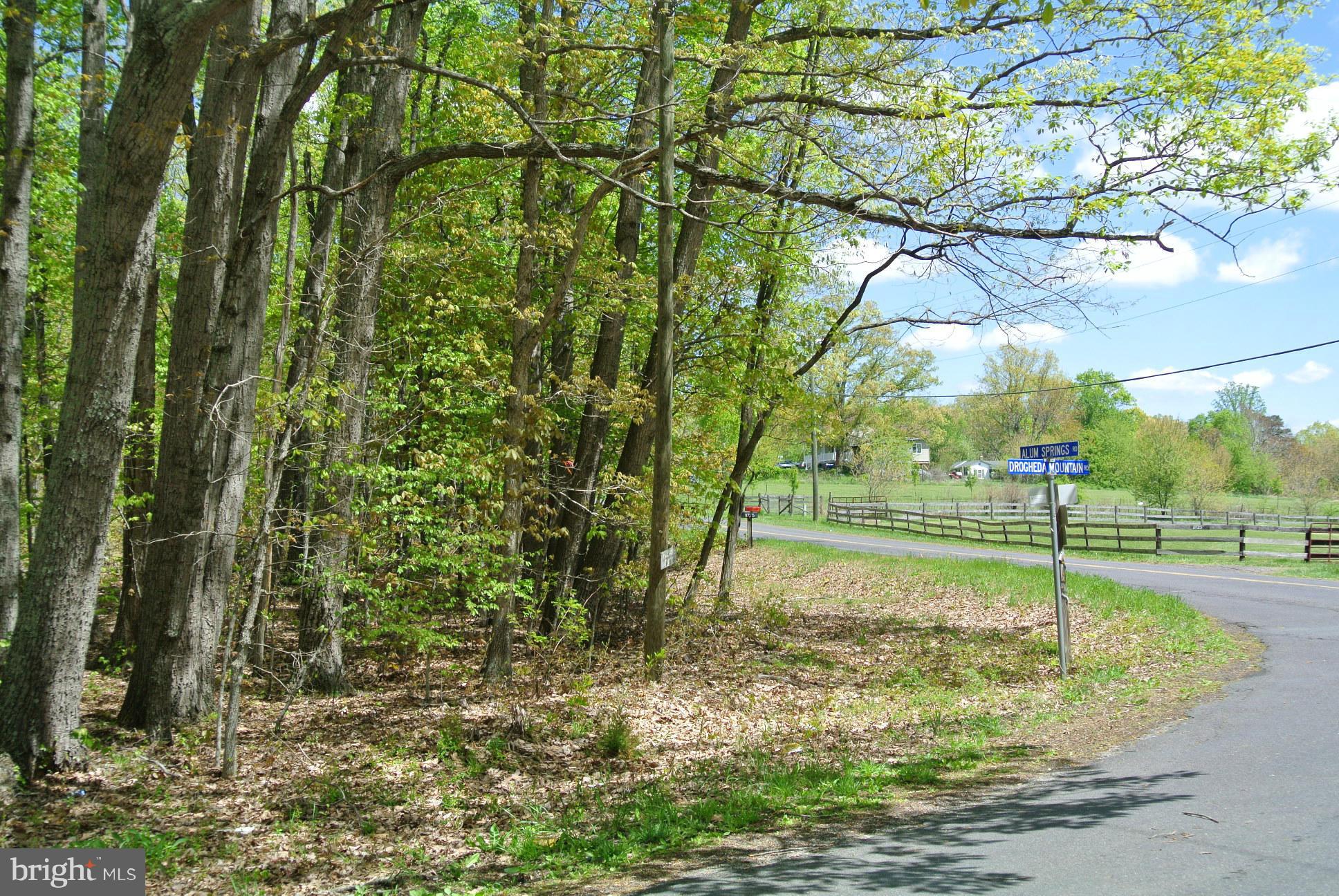 7 Alum Springs Road Rixeyville, VA 22737 - Photo 11 of 12 Exterior (General)