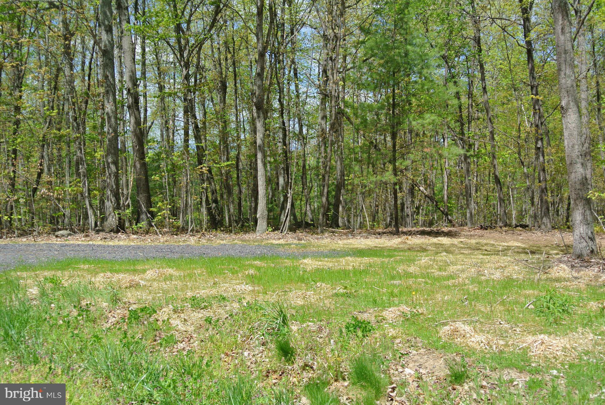 7 Alum Springs Road Rixeyville, VA 22737 - Photo 12 of 12 View