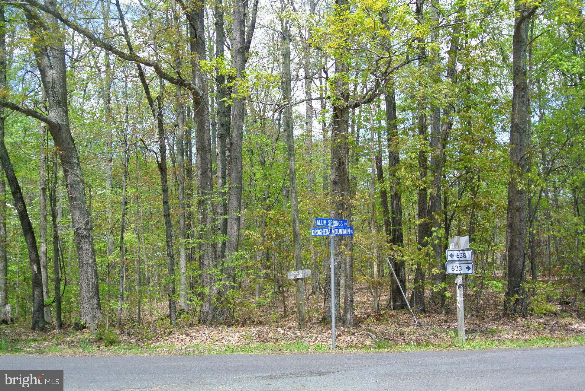 7 Alum Springs Road Rixeyville, VA 22737 - Photo 4 of 12 Road frontage on Drogheda & Alum Sprgs
