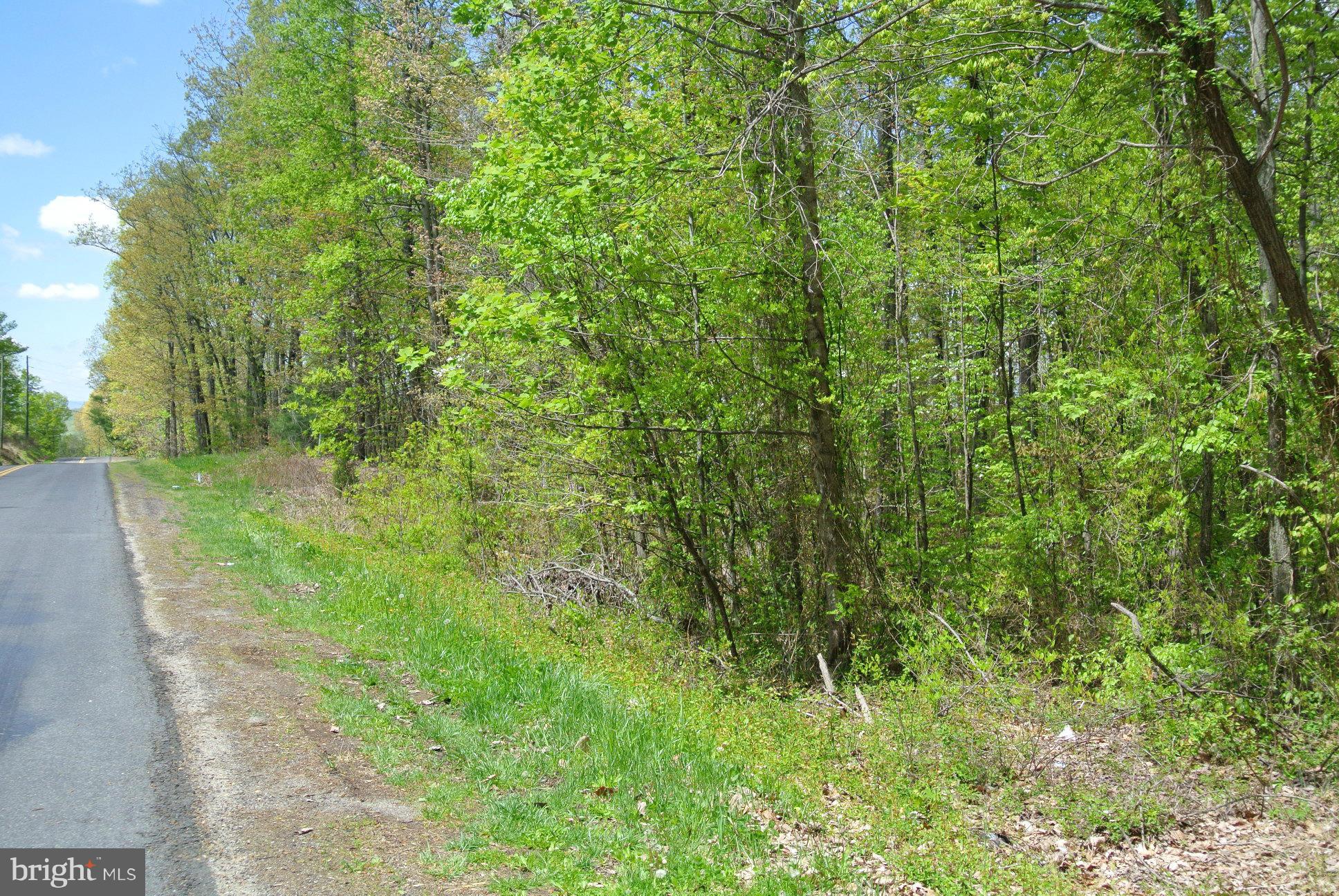 7 Alum Springs Road Rixeyville, VA 22737 - Photo 5 of 12 paved state road