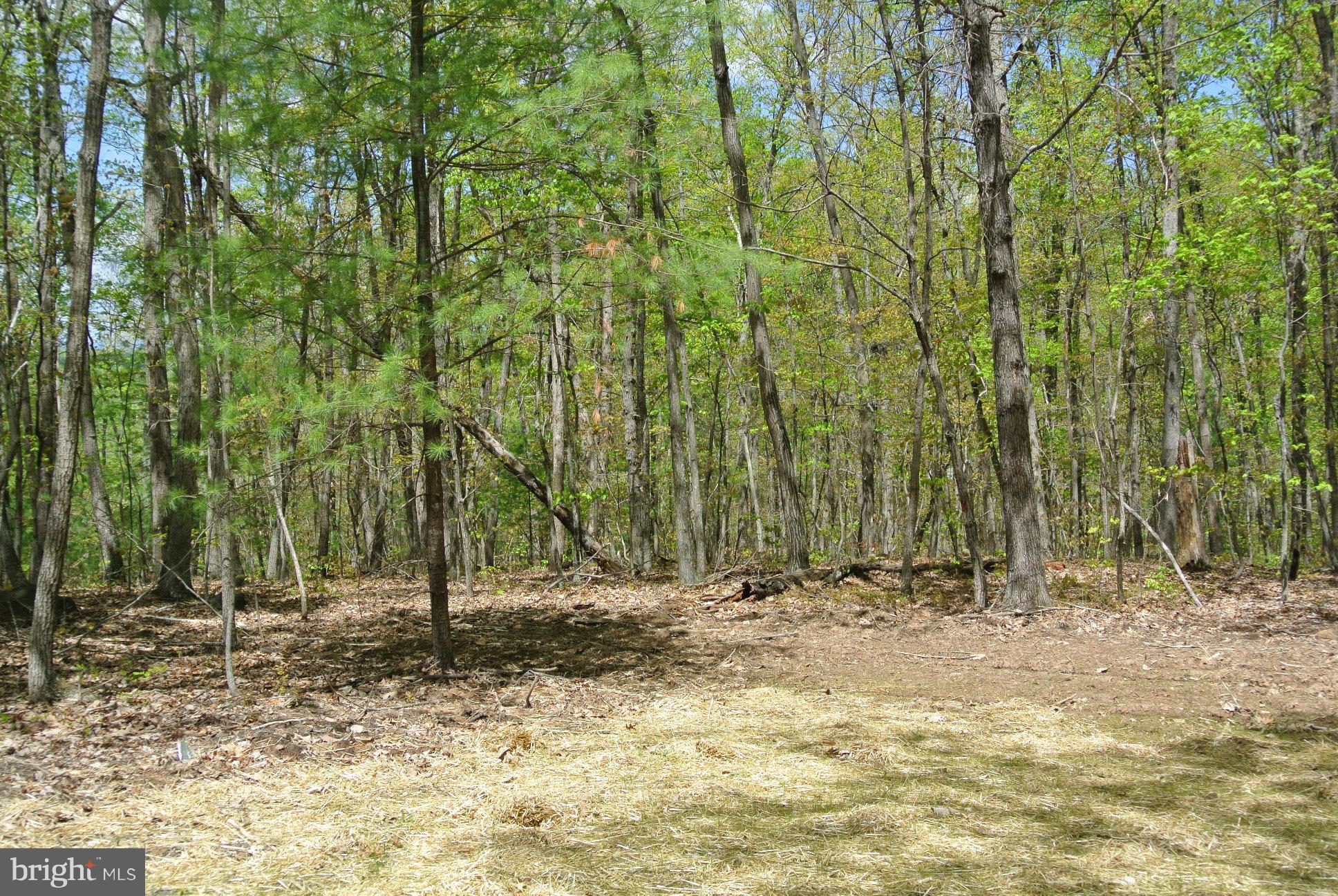 7 Alum Springs Road Rixeyville, VA 22737 - Photo 6 of 12 Exterior (General)