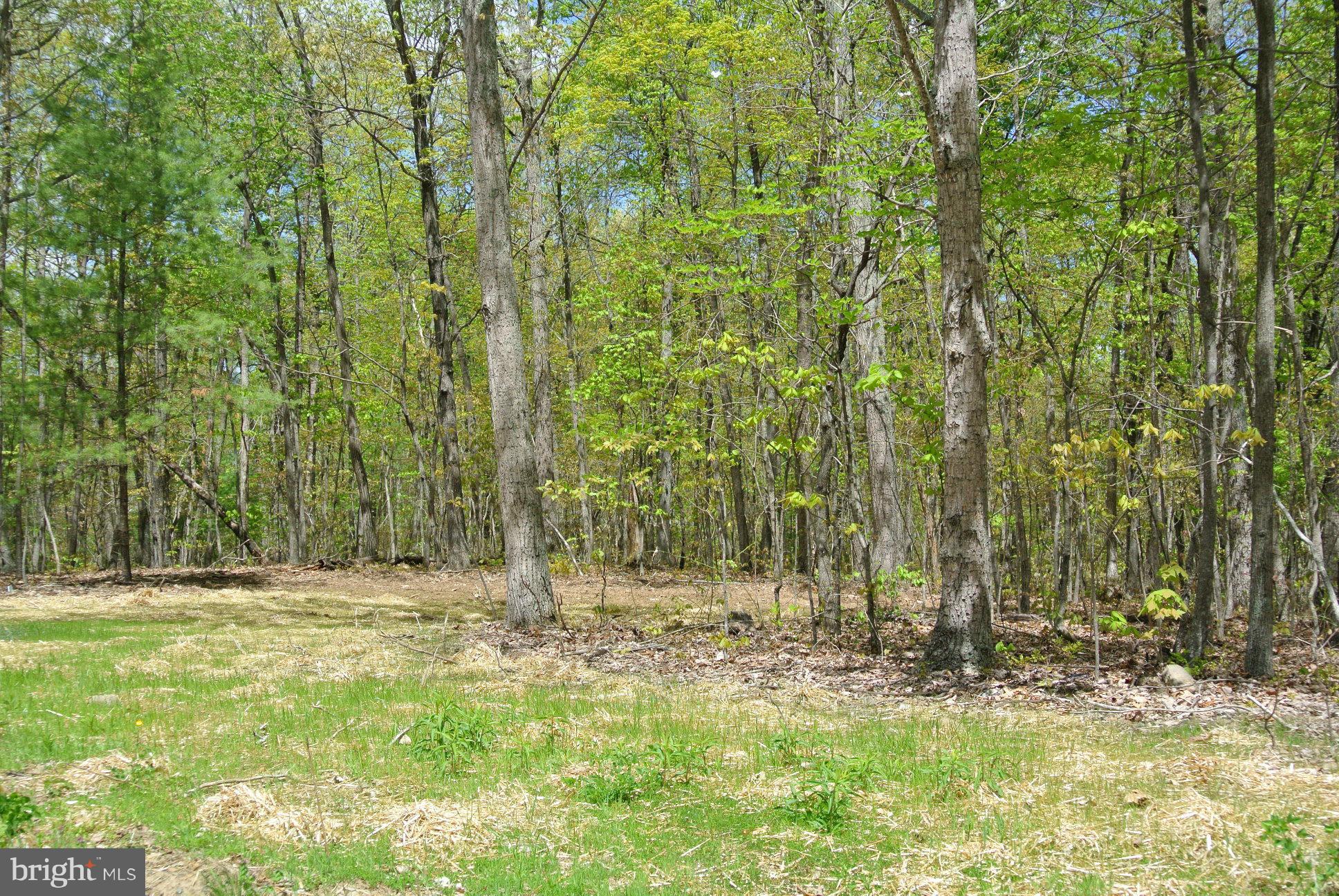 7 Alum Springs Road Rixeyville, VA 22737 - Photo 7 of 12 Exterior (General)