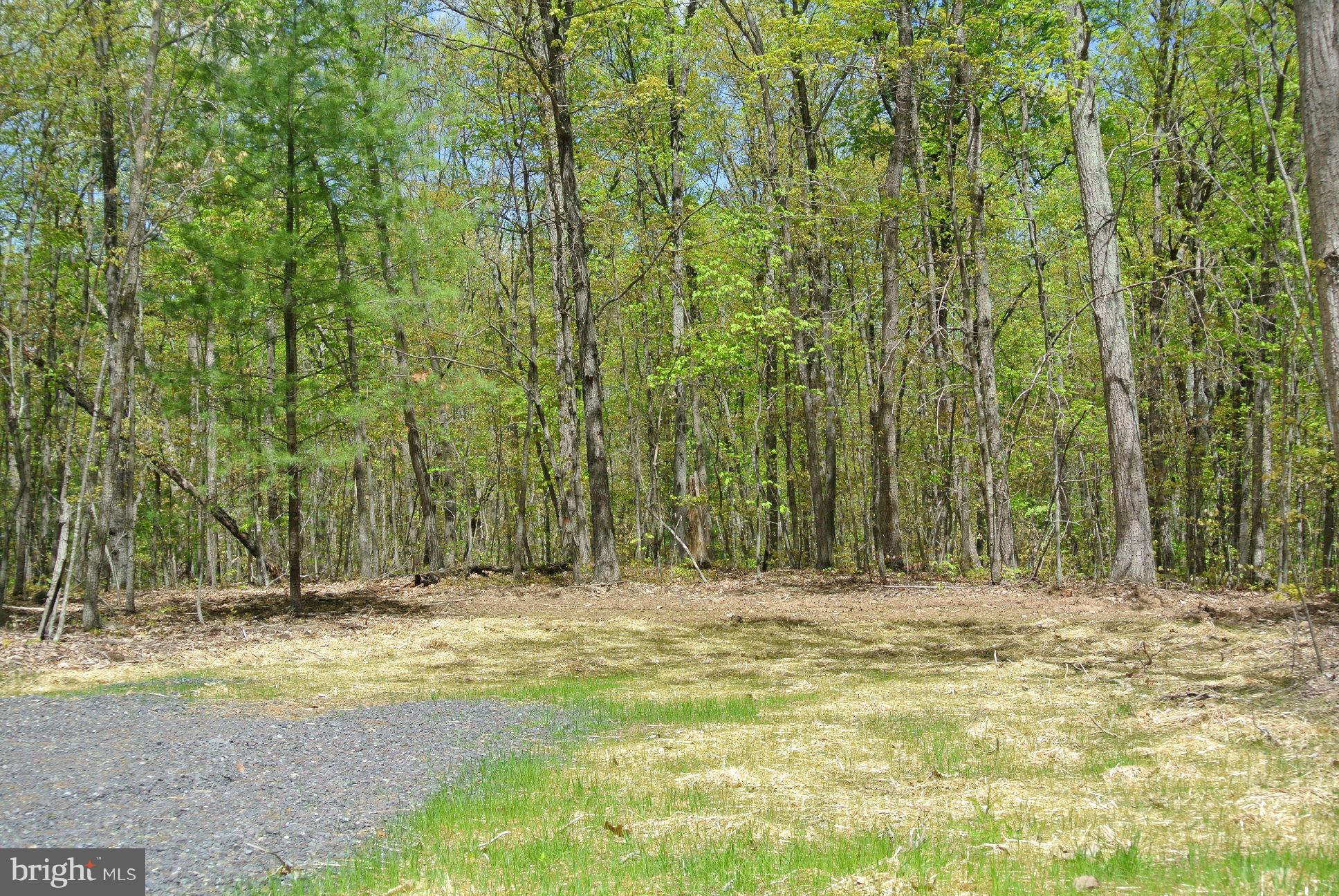 7 Alum Springs Road Rixeyville, VA 22737 - Photo 8 of 12 VDOT approved entrance installed on Drogheda Mtn R