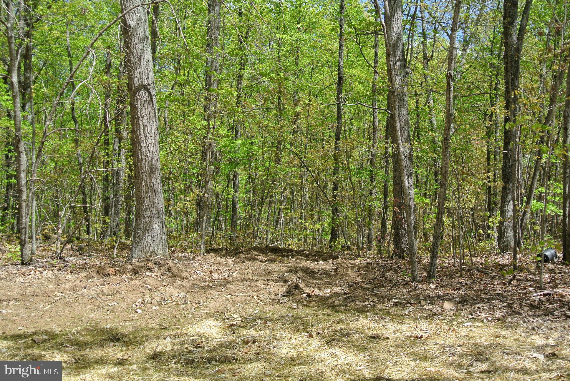 7 Alum Springs Road Rixeyville, VA 22737 - Photo 9 of 12 Exterior (General)