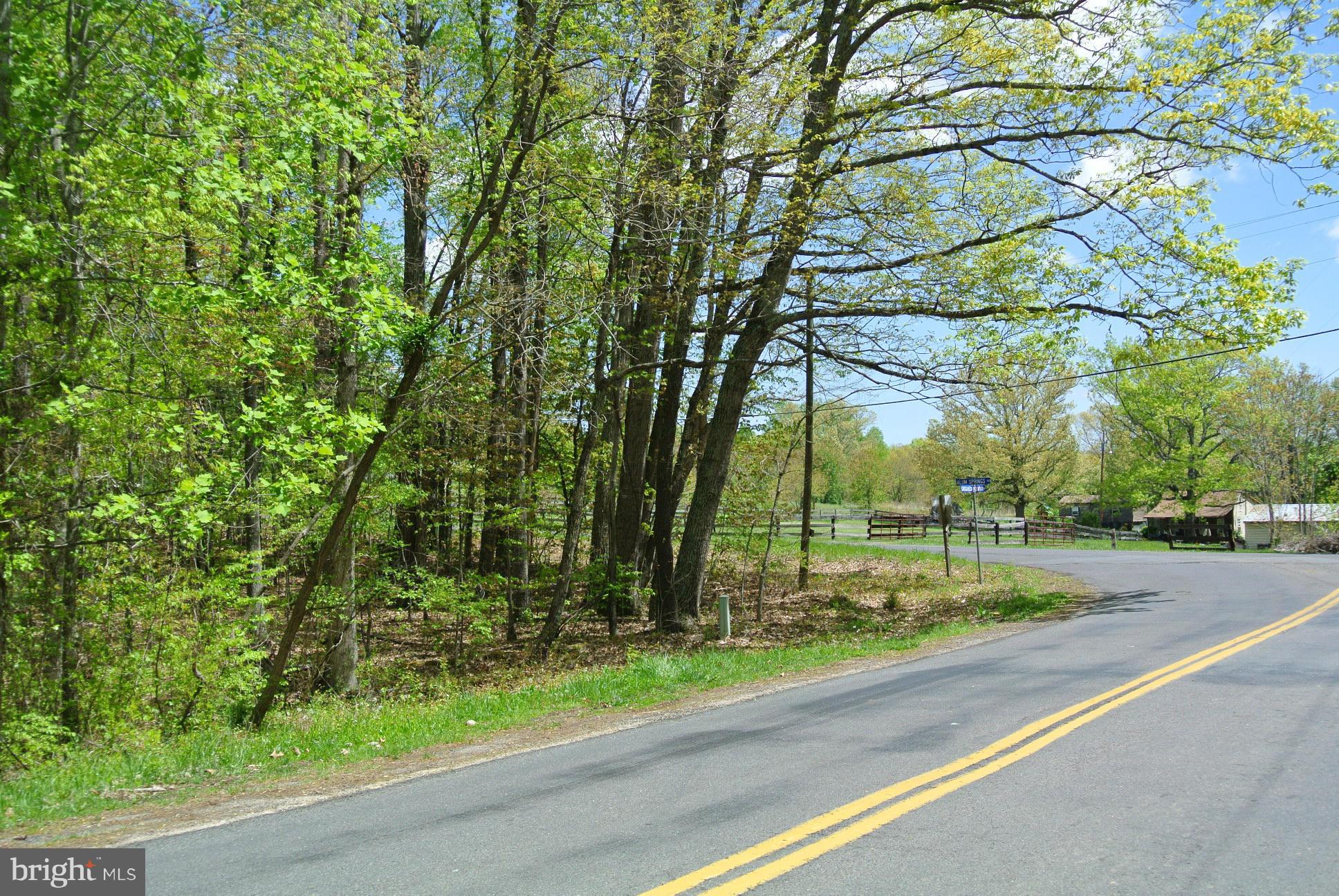 7 Alum Springs Road Rixeyville, VA 22737 - Photo 10 of 12 Plenty of road frontage