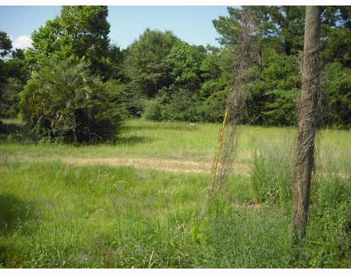 5232 Ward Pineview Road Lucedale, MS 39452 - Photo 3 of 3 Additional Photo