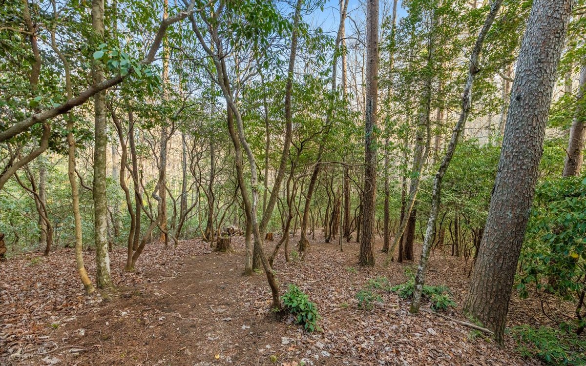 435 Birdseye View Blue Ridge, GA 30513 - Photo 70 of 70 Additional View