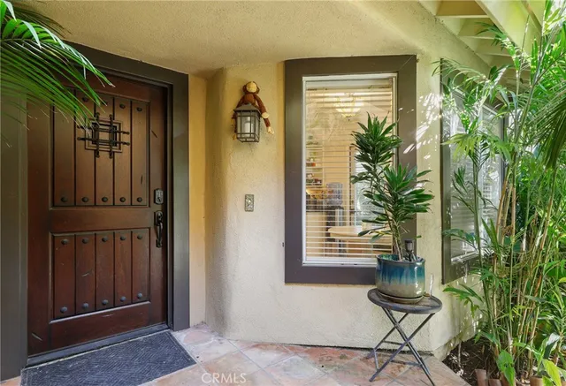 a potted plant in front of a house