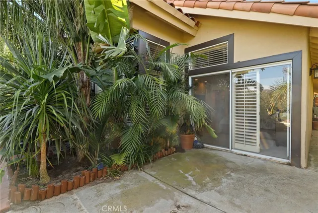 a view of a backyard with plants and potted plants