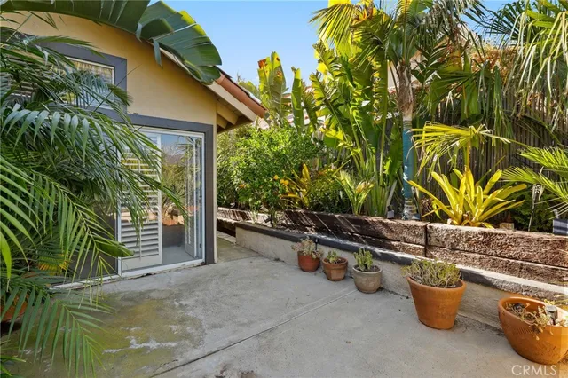 a view of a plant with a park