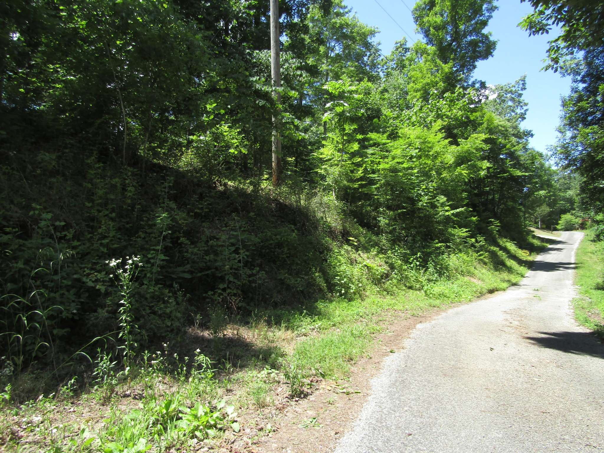 5 Simple Life Road Hilham, TN 38568 - Photo 6 of 8 Gallery Image 6