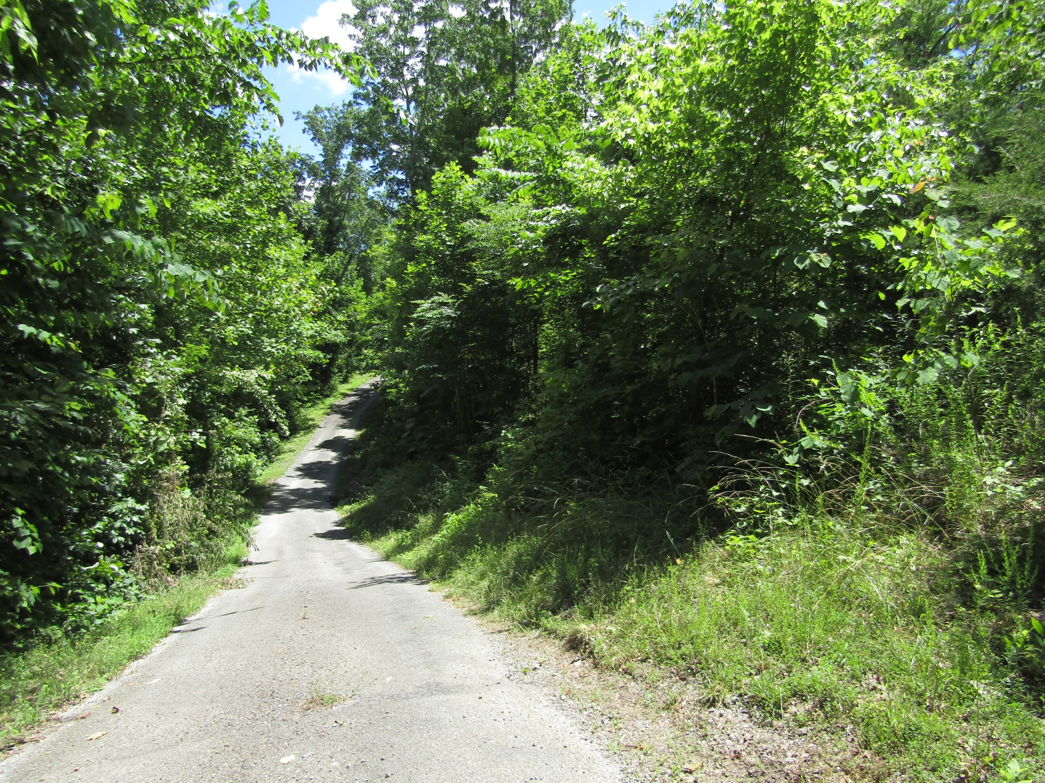 5 Simple Life Road Hilham, TN 38568 - Photo 8 of 8 Gallery Image 8