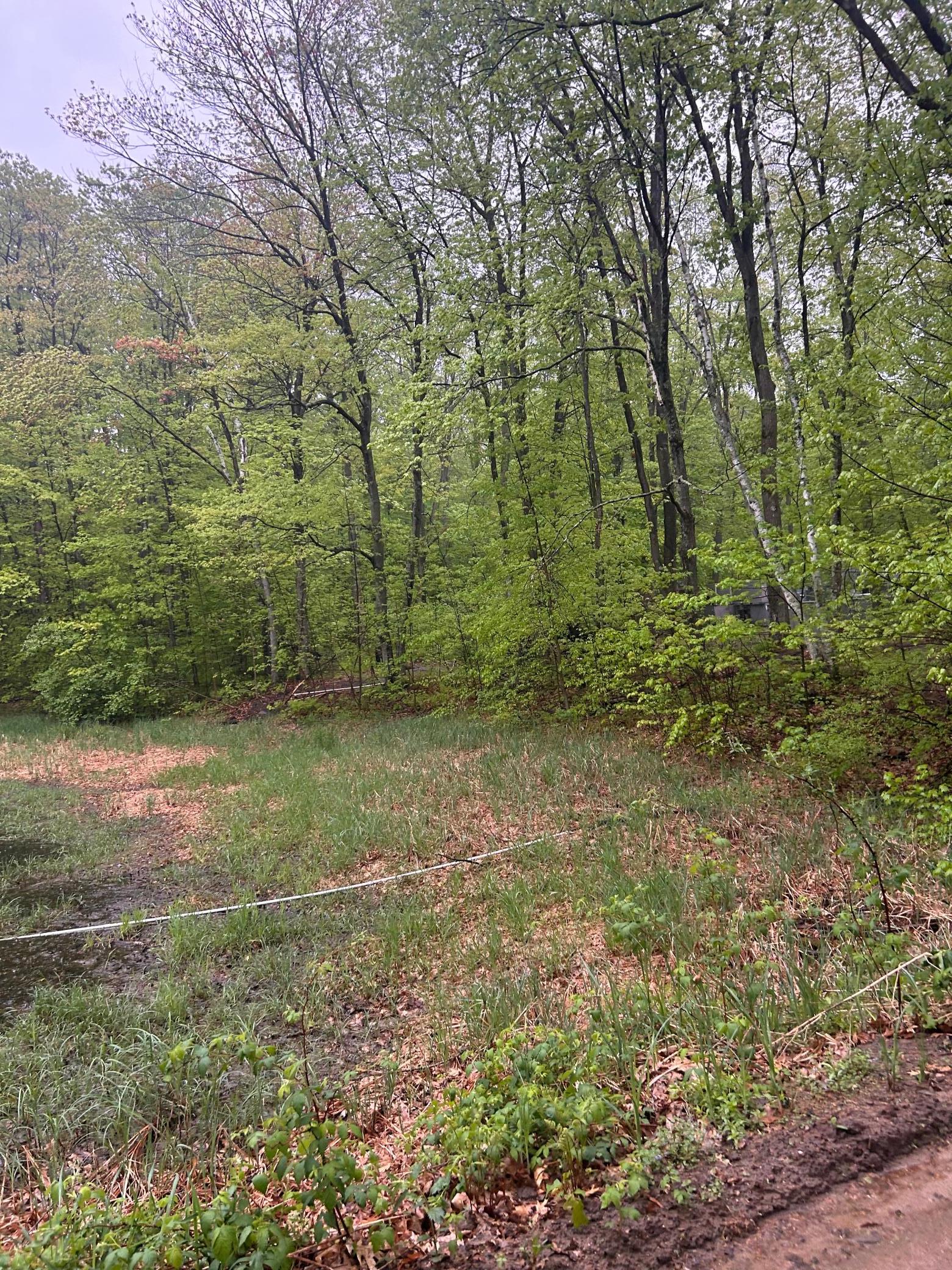 Tbd Powderhorn Drive Randall, MN 56475 - Photo 2 of 3