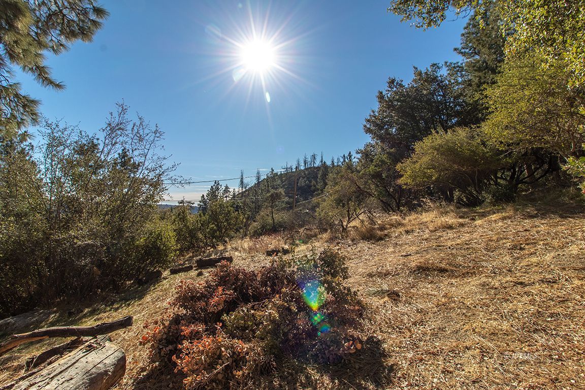 53475 Double View Drive Idyllwild, CA 92549 - Photo 48 of 51 Beautiful sunset views