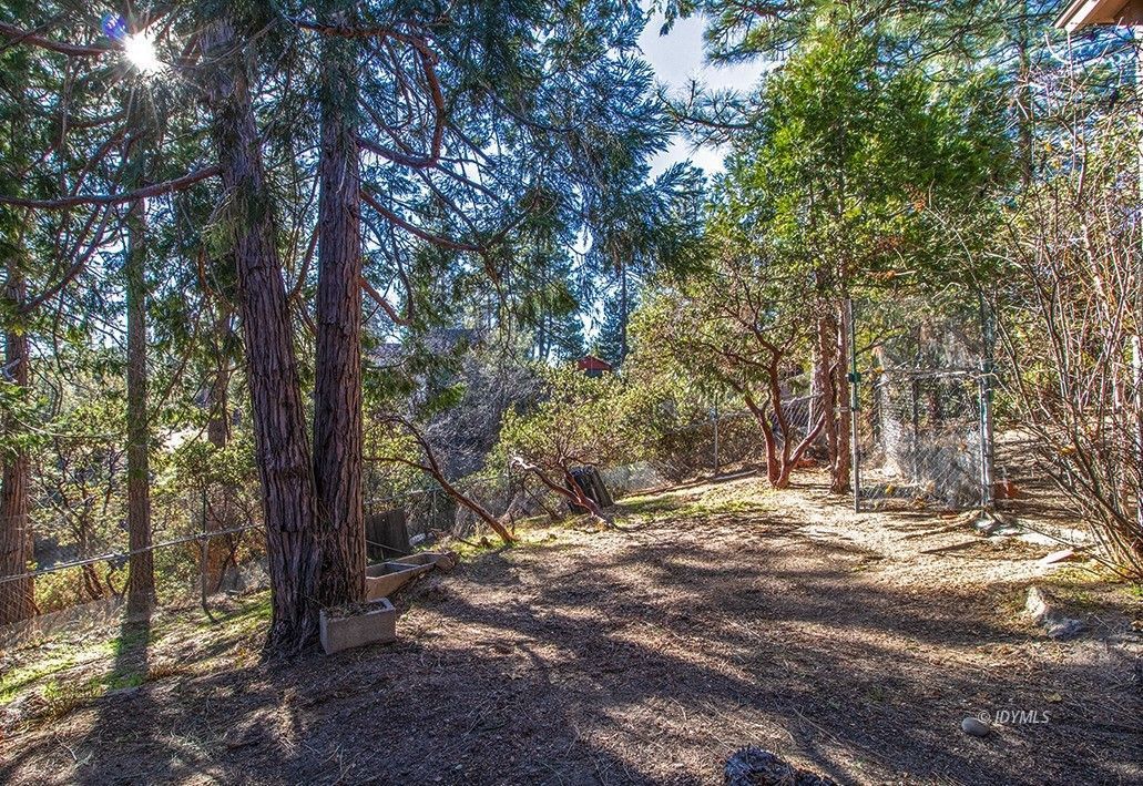 53475 Double View Drive Idyllwild, CA 92549 - Photo 49 of 51 All sorts of possibilities to enjoy the