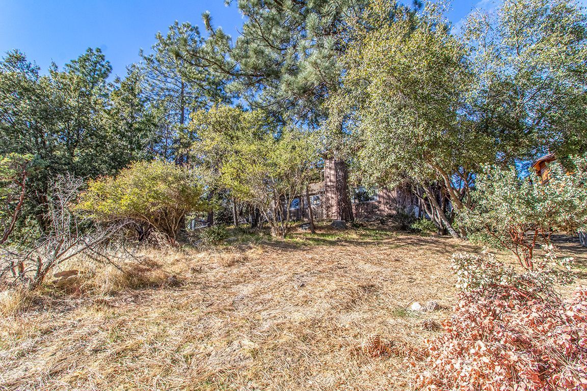 53475 Double View Drive Idyllwild, CA 92549 - Photo 50 of 51 Open areas for gardening