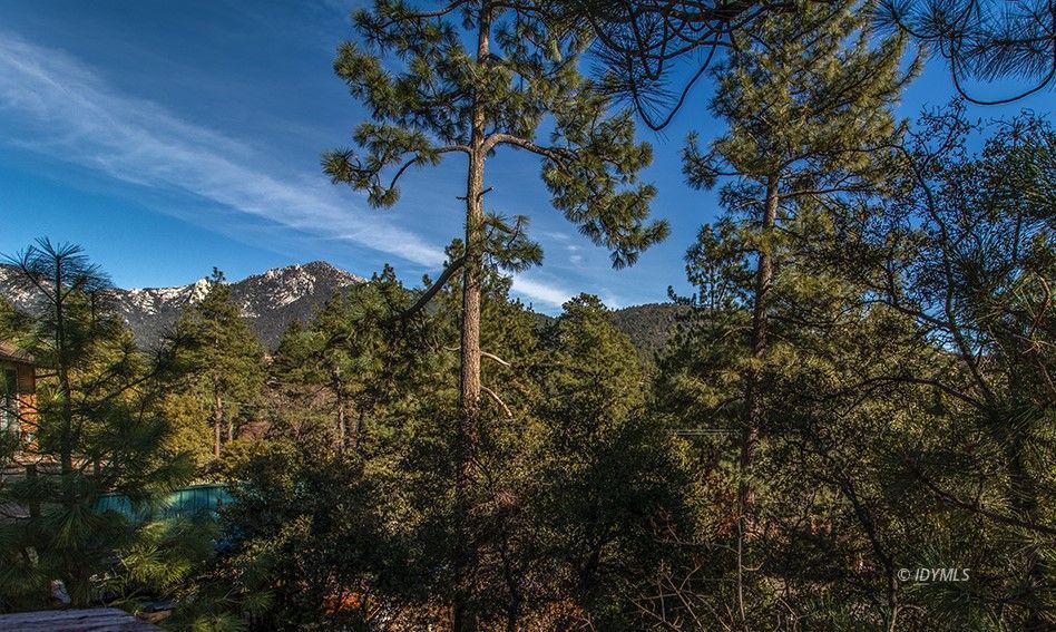 53475 Double View Drive Idyllwild, CA 92549 - Photo 51 of 51 Come enjoy the mountain living!