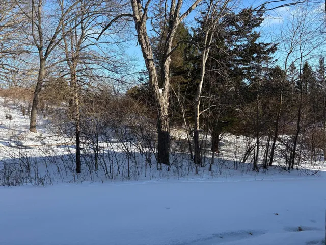 $1,700 | 1005 East Duncan Street, Unit 1D, Manchester, MI 48158