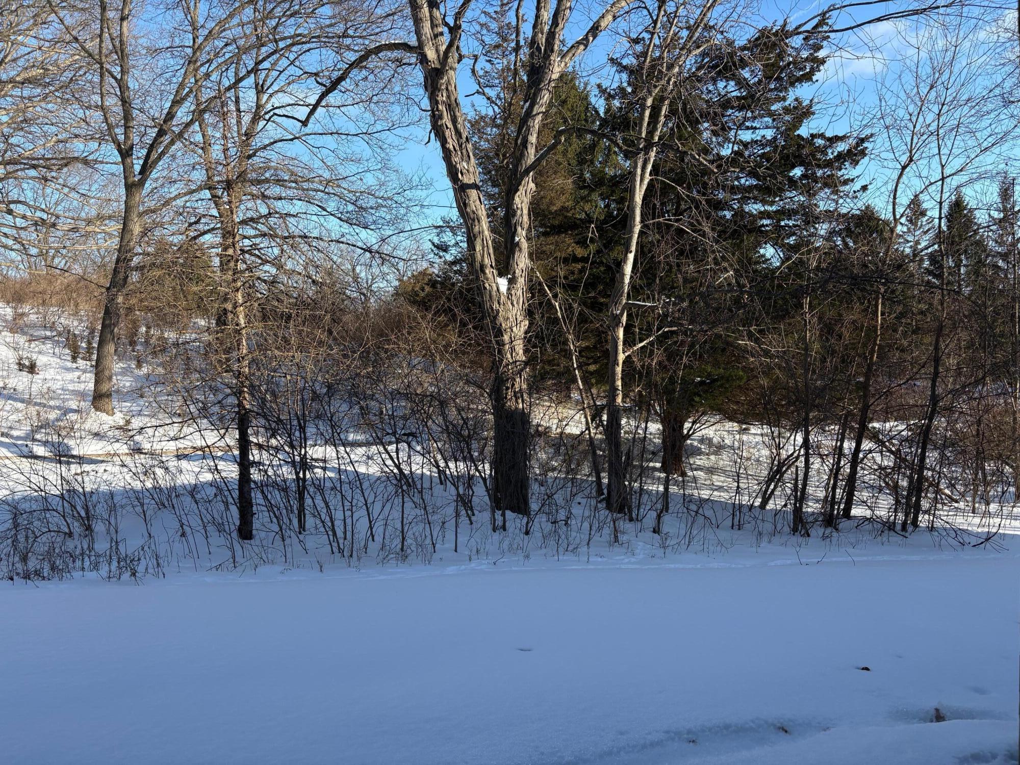 1005 East Duncan Street, Unit 1D Manchester, MI 48158 - Photo 16 of 17 IMG_3650