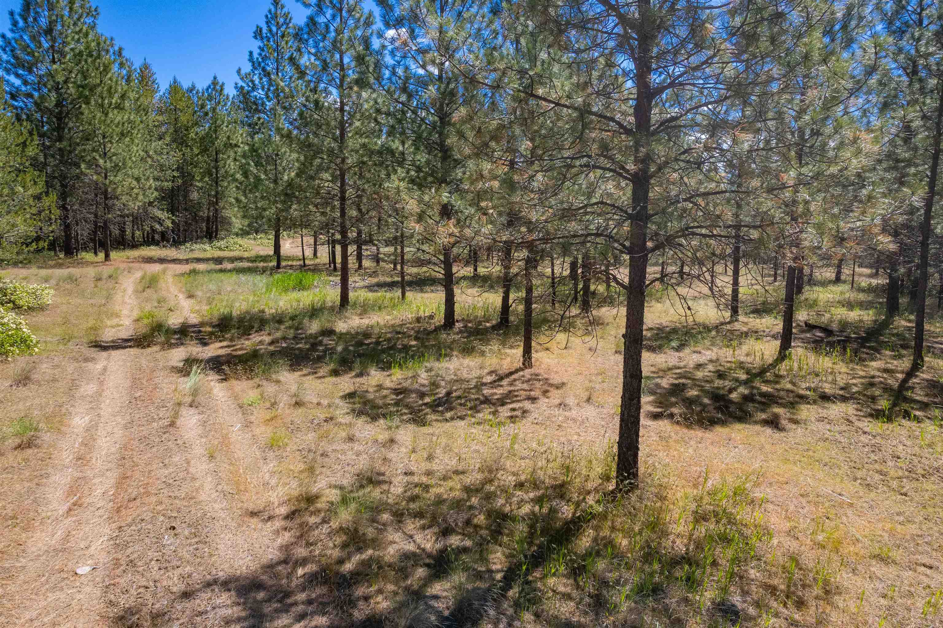 29-xxx North Hardesty Road Chattaroy, WA 99003 - Photo 36 of 40