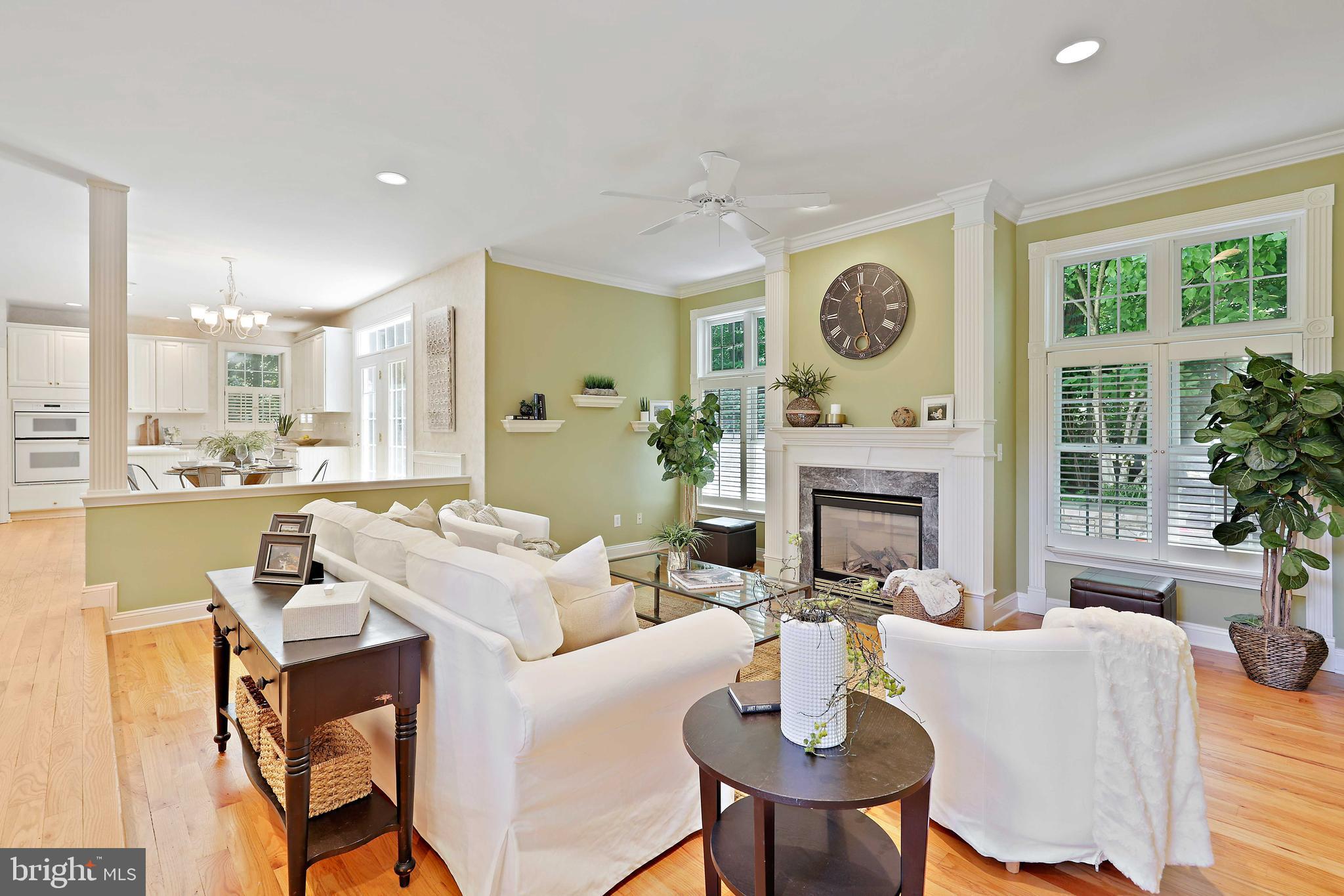 253 Woodard Road Arnold, MD 21012 - Photo 19 of 55 Family Room w/ Fireplace